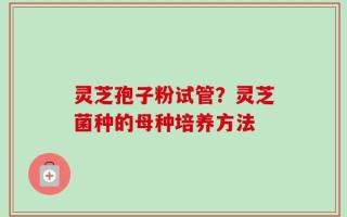 灵芝孢子粉试管？灵芝菌种的母种培养方法