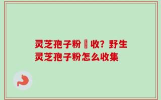 灵芝孢子粉採收？野生灵芝孢子粉怎么收集