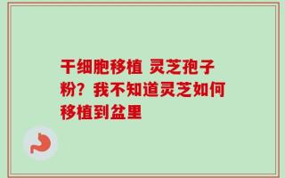 干细胞移植 灵芝孢子粉？我不知道灵芝如何移植到盆里