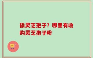 偷灵芝孢子？哪里有收购灵芝孢子粉