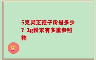 5克灵芝孢子粉是多少？1g粉末有多重参照物