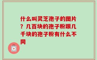 什么叫灵芝孢子的图片？几百块的孢子粉跟几千块的孢子粉有什么不同