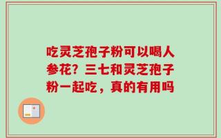 吃灵芝孢子粉可以喝人参花？三七和灵芝孢子粉一起吃，真的有用吗