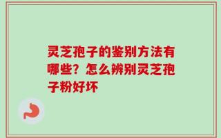 灵芝孢子的鉴别方法有哪些？怎么辨别灵芝孢子粉好坏