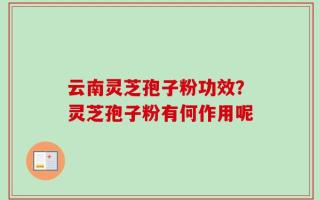 云南灵芝孢子粉功效？灵芝孢子粉有何作用呢