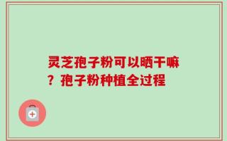 灵芝孢子粉可以晒干嘛？孢子粉种植全过程