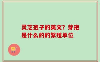 灵芝孢子的英文？芽孢是什么的的繁殖单位