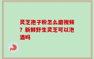 灵芝孢子粉怎么磨视频？新鲜野生灵芝可以泡酒吗