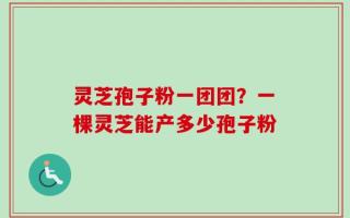 灵芝孢子粉一团团？一棵灵芝能产多少孢子粉
