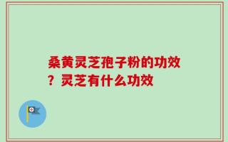 桑黄灵芝孢子粉的功效？灵芝有什么功效