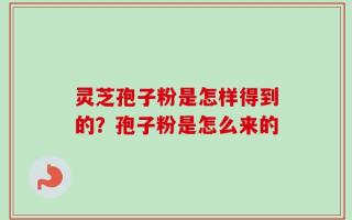 灵芝孢子粉是怎样得到的？孢子粉是怎么来的