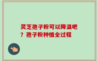 灵芝孢子粉可以降温吧？孢子粉种植全过程