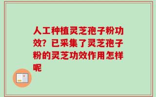 人工种植灵芝孢子粉功效？已采集了灵芝孢子粉的灵芝功效作用怎样呢