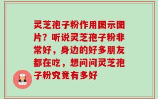 灵芝孢子粉作用图示图片？听说灵芝孢子粉非常好，身边的好多朋友都在吃，想问问灵芝孢子粉究竟有多好