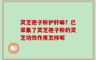灵芝孢子粉护肝嘛？已采集了灵芝孢子粉的灵芝功效作用怎样呢