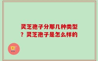 灵芝孢子分那几种类型？灵芝孢子是怎么样的