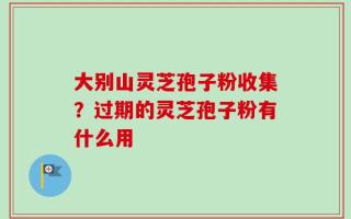 大别山灵芝孢子粉收集？过期的灵芝孢子粉有什么用