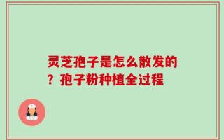 灵芝孢子是怎么散发的？孢子粉种植全过程
