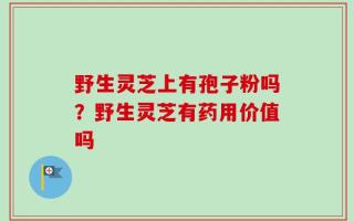 野生灵芝上有孢子粉吗？野生灵芝有药用价值吗