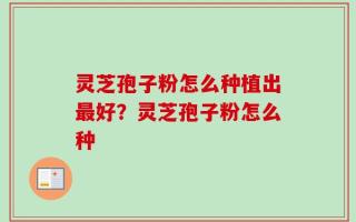 灵芝孢子粉怎么种植出最好？灵芝孢子粉怎么种