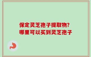 保定灵芝孢子提取物？哪里可以买到灵芝孢子