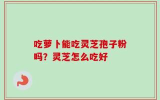 吃萝卜能吃灵芝孢子粉吗？灵芝怎么吃好