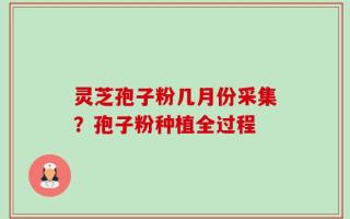 灵芝孢子粉几月份采集？孢子粉种植全过程