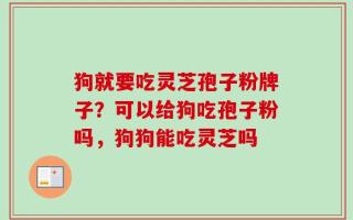 狗就要吃灵芝孢子粉牌子？可以给狗吃孢子粉吗，狗狗能吃灵芝吗