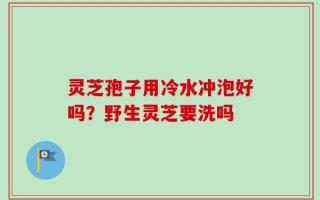 灵芝孢子用冷水冲泡好吗？野生灵芝要洗吗