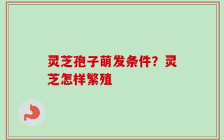 灵芝孢子萌发条件？灵芝怎样繁殖