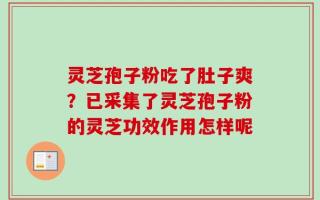 灵芝孢子粉吃了肚子爽？已采集了灵芝孢子粉的灵芝功效作用怎样呢