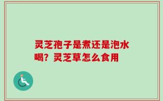 灵芝孢子是煮还是泡水喝？灵芝草怎么食用