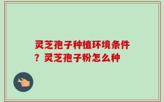 灵芝孢子种植环境条件？灵芝孢子粉怎么种