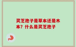 灵芝孢子是草本还是木本？什么是灵芝孢子