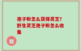 孢子粉怎么获得灵芝？野生灵芝孢子粉怎么收集