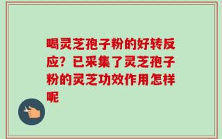 喝灵芝孢子粉的好转反应？已采集了灵芝孢子粉的灵芝功效作用怎样呢
