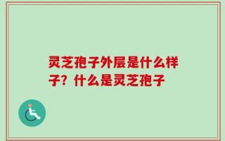 灵芝孢子外层是什么样子？什么是灵芝孢子