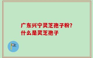 广东兴宁灵芝孢子粉？什么是灵芝孢子