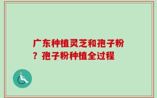 广东种植灵芝和孢子粉？孢子粉种植全过程