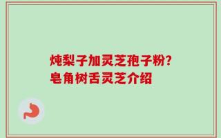 炖梨子加灵芝孢子粉？皂角树舌灵芝介绍