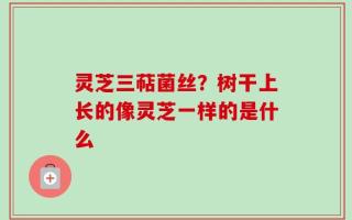 灵芝三萜菌丝？树干上长的像灵芝一样的是什么