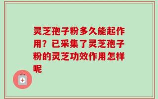 灵芝孢子粉多久能起作用？已采集了灵芝孢子粉的灵芝功效作用怎样呢