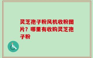 灵芝孢子粉风机收粉图片？哪里有收购灵芝孢子粉