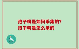 孢子粉是如何采集的？孢子粉是怎么来的