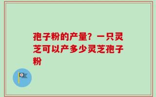 孢子粉的产量？一只灵芝可以产多少灵芝孢子粉