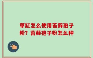 草缸怎么使用苔藓孢子粉？苔藓孢子粉怎么种