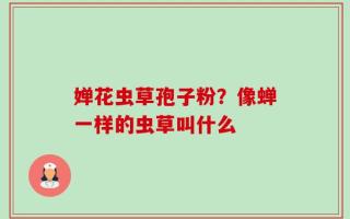 婵花虫草孢子粉？像蝉一样的虫草叫什么