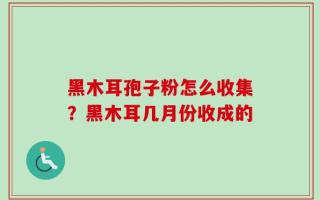 黑木耳孢子粉怎么收集？黑木耳几月份收成的