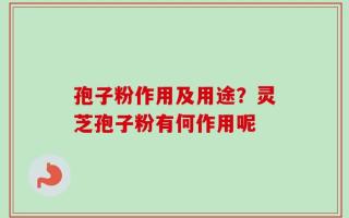 孢子粉作用及用途？灵芝孢子粉有何作用呢