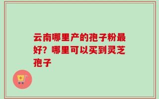 云南哪里产的孢子粉最好？哪里可以买到灵芝孢子